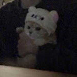 Meet your Posher, Maya